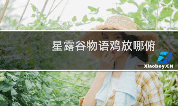 星露谷物语鸡放哪俯