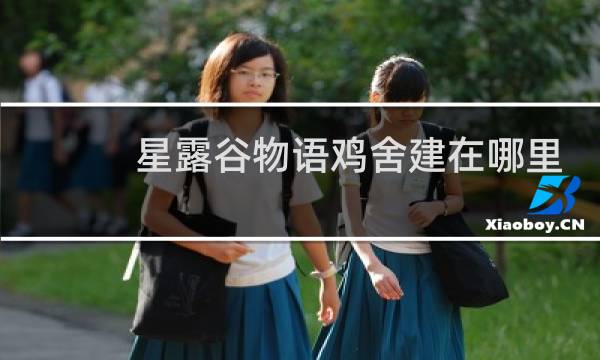 星露谷物语鸡舍建在哪里