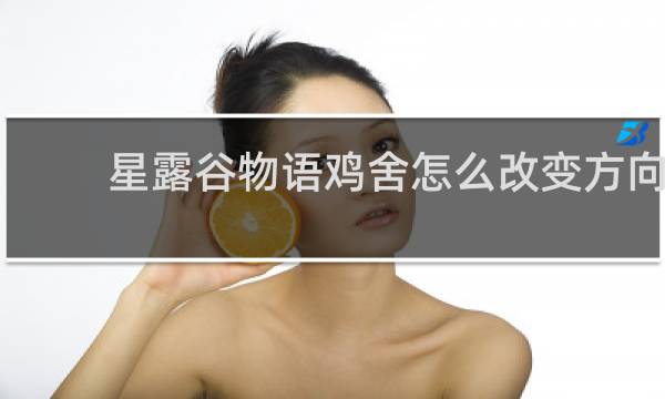 星露谷物语鸡舍怎么改变方向