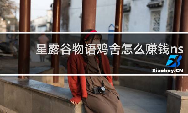 星露谷物语鸡舍怎么赚钱ns