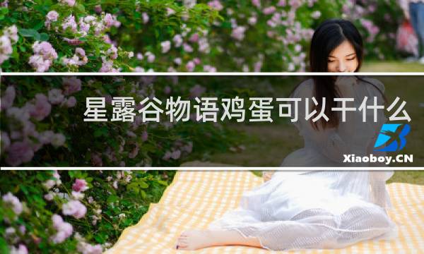 星露谷物语鸡蛋可以干什么