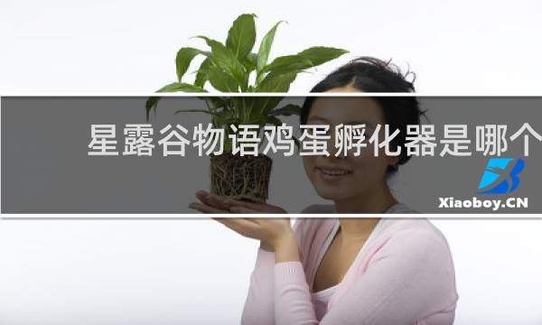星露谷物语鸡蛋孵化器是哪个