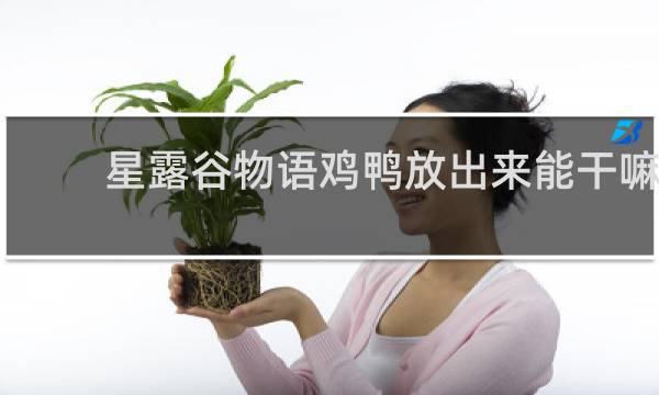 星露谷物语鸡鸭放出来能干嘛