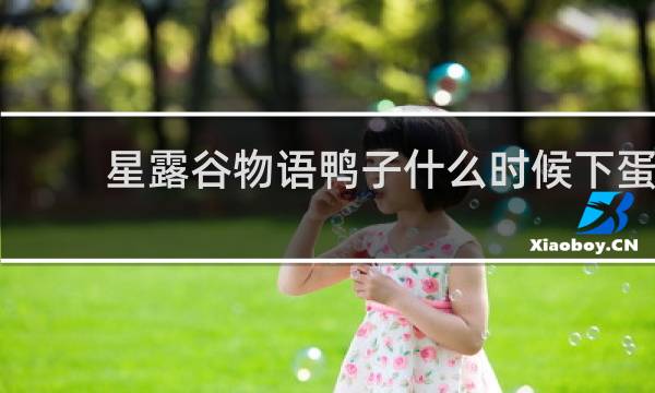 星露谷物语鸭子什么时候下蛋