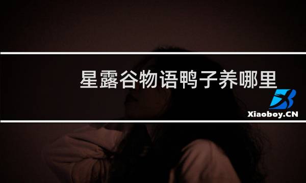 星露谷物语鸭子养哪里
