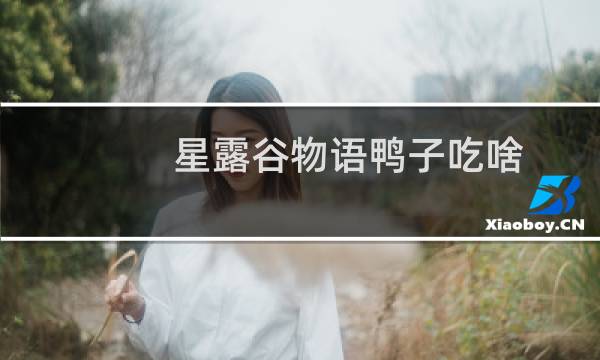 星露谷物语鸭子吃啥