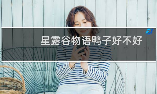 星露谷物语鸭子好不好