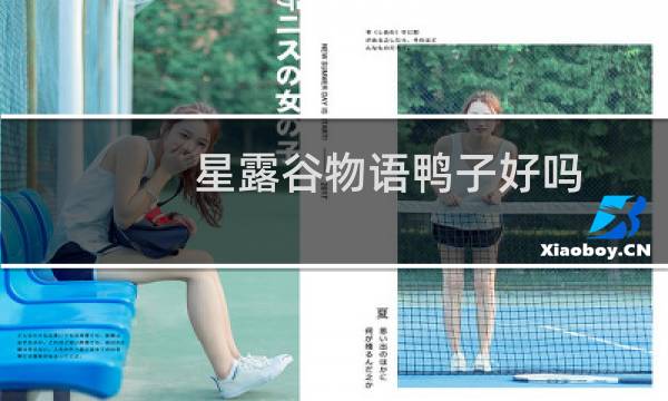 星露谷物语鸭子好吗