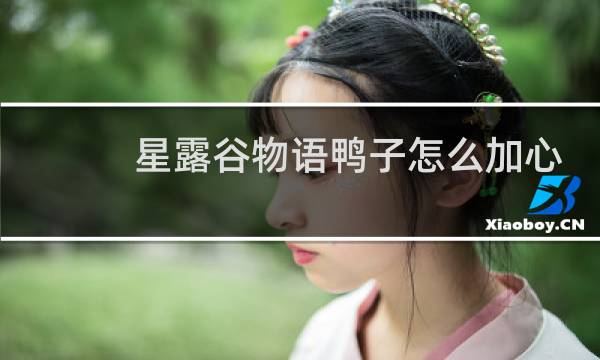 星露谷物语鸭子怎么加心