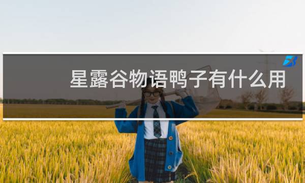 星露谷物语鸭子有什么用
