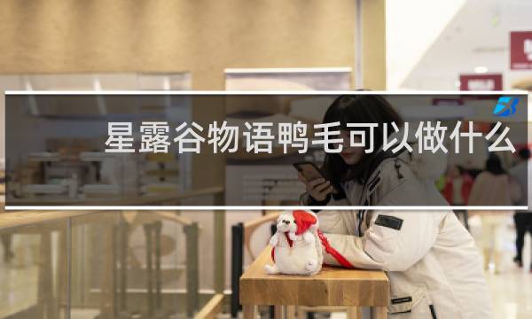 星露谷物语鸭毛可以做什么