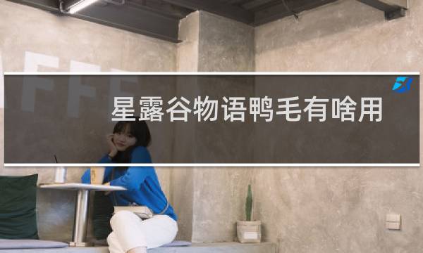 星露谷物语鸭毛有啥用