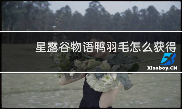 星露谷物语鸭羽毛怎么获得