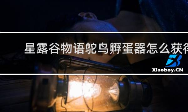 星露谷物语鸵鸟孵蛋器怎么获得