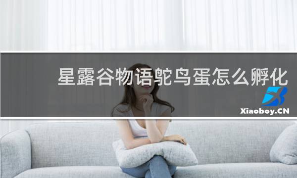 星露谷物语鸵鸟蛋怎么孵化