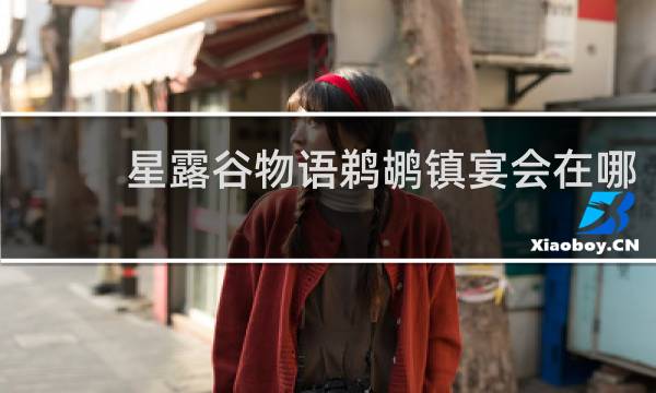 星露谷物语鹈鹕镇宴会在哪