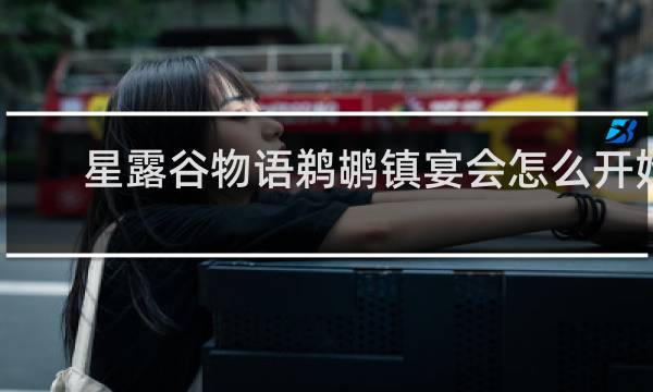 星露谷物语鹈鹕镇宴会怎么开始
