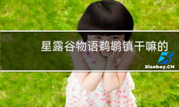 星露谷物语鹈鹕镇干嘛的