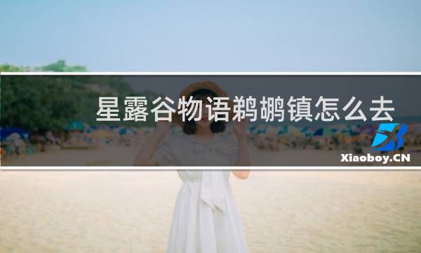 星露谷物语鹈鹕镇怎么去