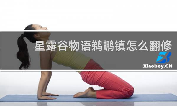 星露谷物语鹈鹕镇怎么翻修