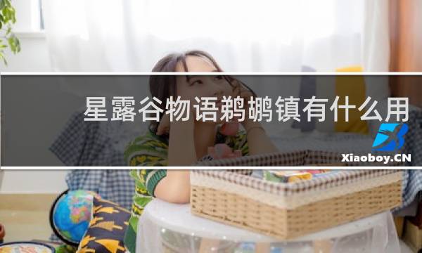 星露谷物语鹈鹕镇有什么用