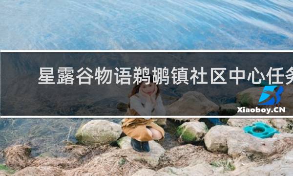 星露谷物语鹈鹕镇社区中心任务