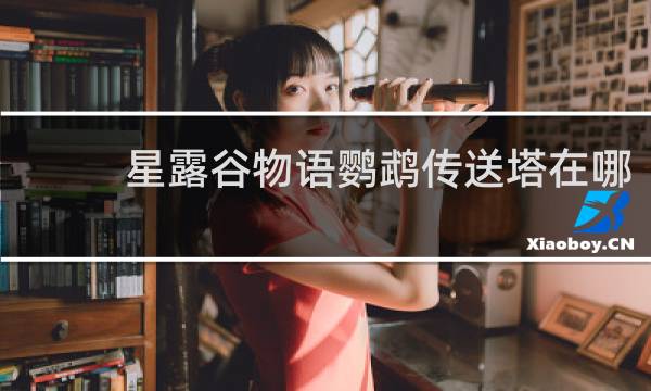 星露谷物语鹦鹉传送塔在哪