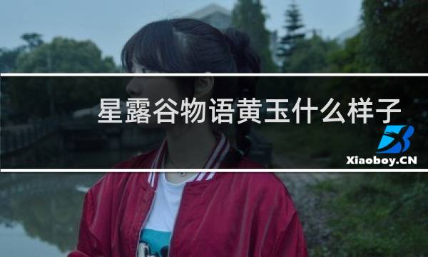 星露谷物语黄玉什么样子