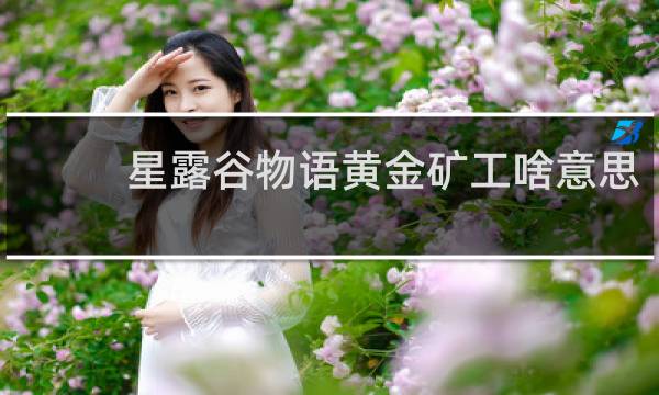 星露谷物语黄金矿工啥意思