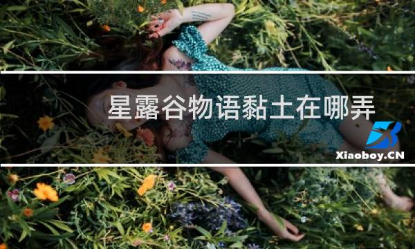 星露谷物语黏土在哪弄