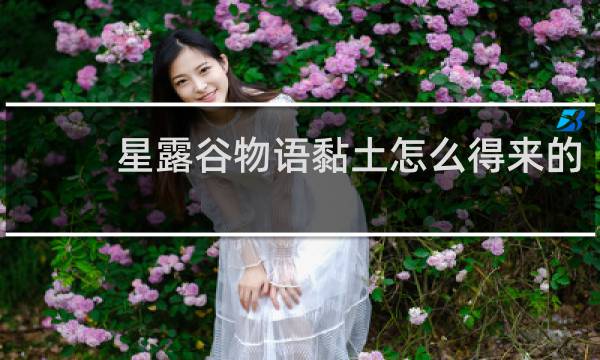 星露谷物语黏土怎么得来的