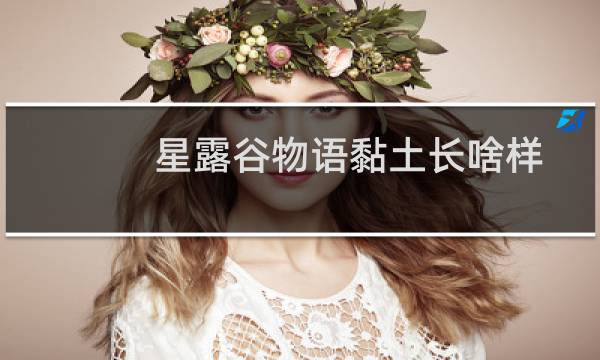 星露谷物语黏土长啥样