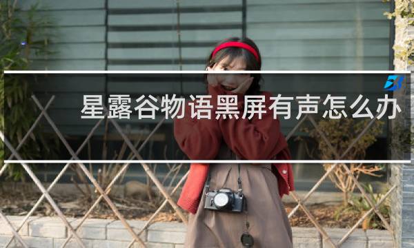 星露谷物语黑屏有声怎么办
