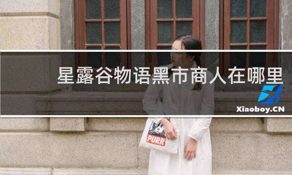 星露谷物语黑市商人在哪里