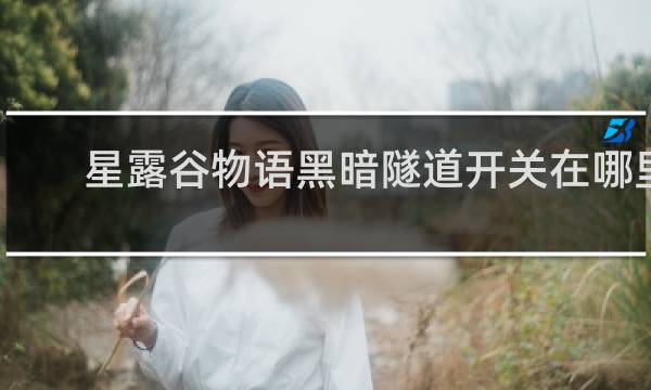 星露谷物语黑暗隧道开关在哪里