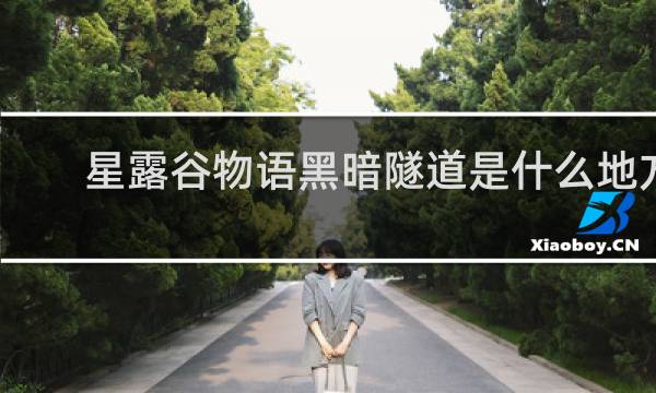星露谷物语黑暗隧道是什么地方