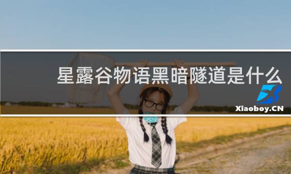 星露谷物语黑暗隧道是什么