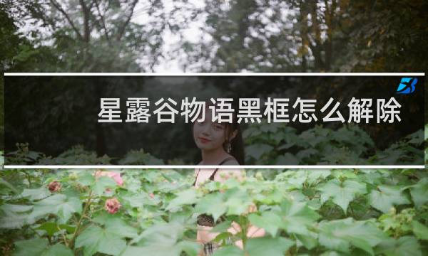 星露谷物语黑框怎么解除