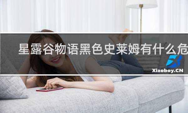 星露谷物语黑色史莱姆有什么危害