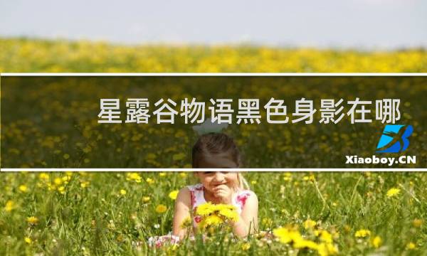 星露谷物语黑色身影在哪