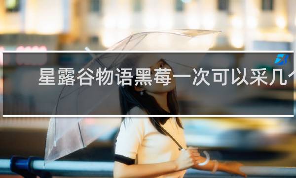 星露谷物语黑莓一次可以采几个