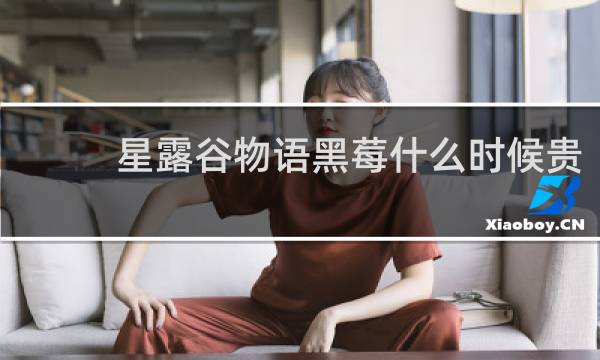 星露谷物语黑莓什么时候贵