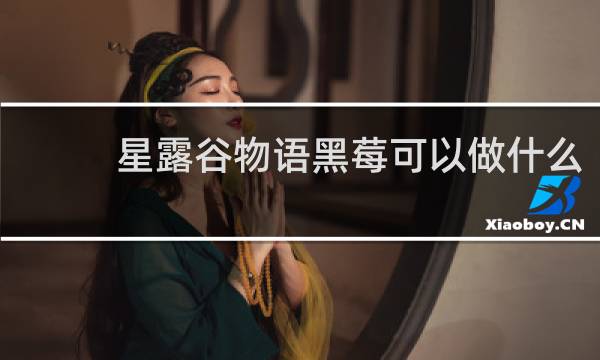 星露谷物语黑莓可以做什么