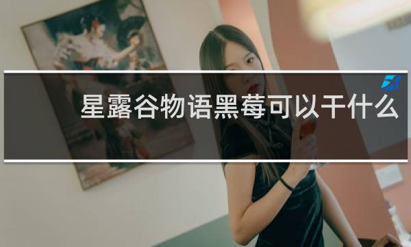 星露谷物语黑莓可以干什么