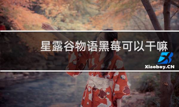 星露谷物语黑莓可以干嘛