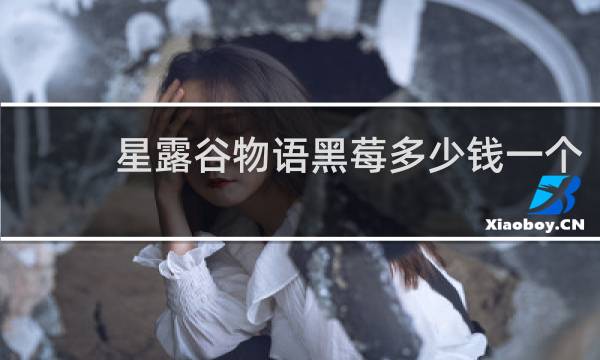 星露谷物语黑莓多少钱一个