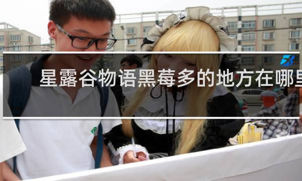 星露谷物语黑莓多的地方在哪里