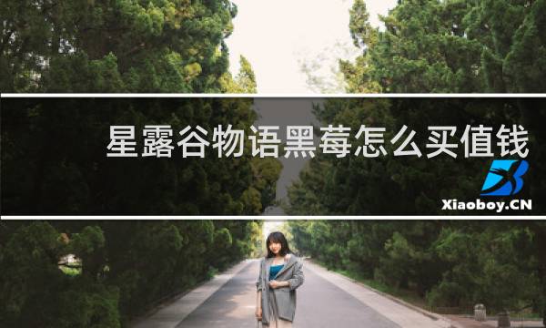 星露谷物语黑莓怎么买值钱