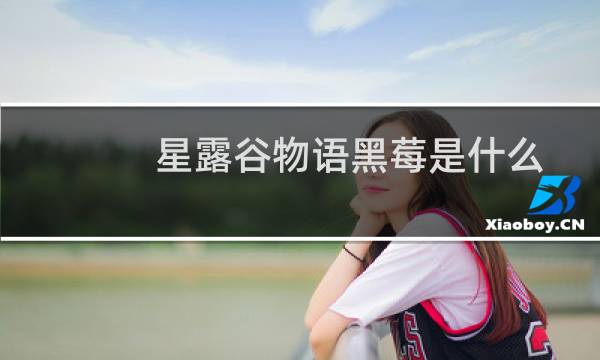 星露谷物语黑莓是什么