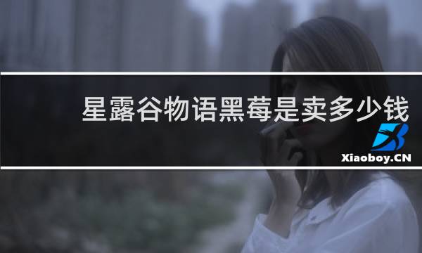 星露谷物语黑莓是卖多少钱